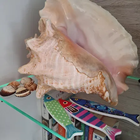 Znjan 50m ----seasun&relax---- Location Апартаменты Сплит