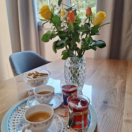Znjan 50m ----seasun&relax---- Location Apartment Split